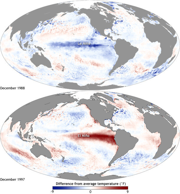 Satellite view of equatorial Pacific sea-surface temperatures during an El Niño event.